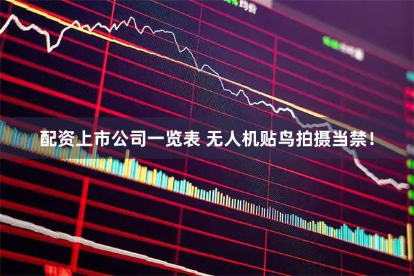 配资上市公司一览表 无人机贴鸟拍摄当禁！