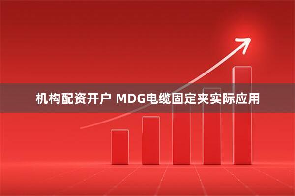 机构配资开户 MDG电缆固定夹实际应用