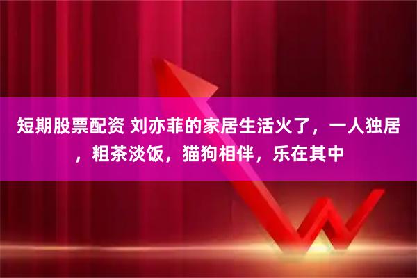 短期股票配资 刘亦菲的家居生活火了，一人独居，粗茶淡饭，猫狗相伴，乐在其中