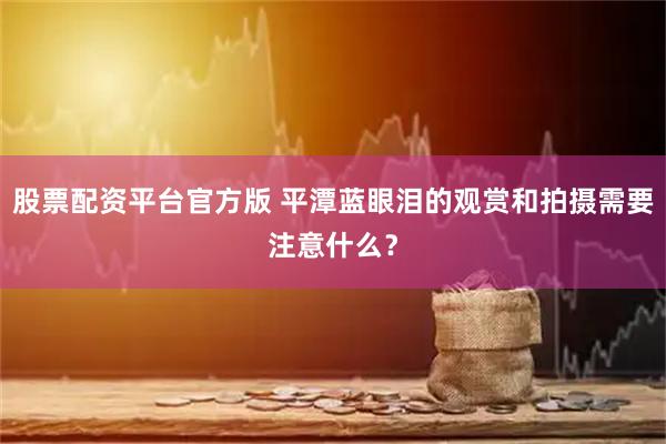股票配资平台官方版 平潭蓝眼泪的观赏和拍摄需要注意什么？